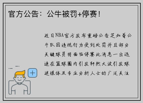 官方公告：公牛被罚+停赛！